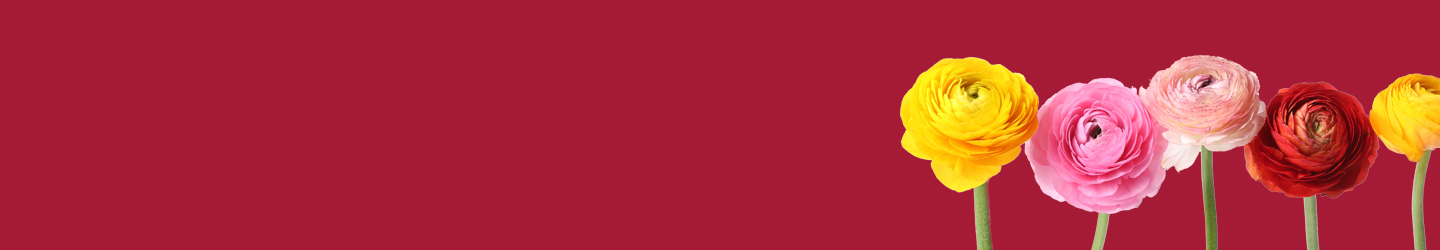 Ranunculus Ranunculus