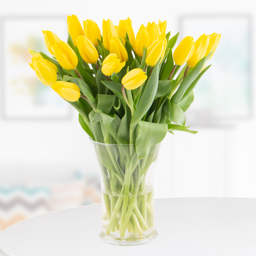 Yellow tulips discount