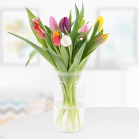 10 Bunte Tulpen