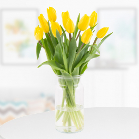 10 Gelbe Tulpen