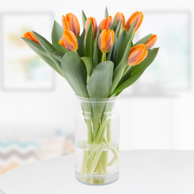 10 Orange Tulips