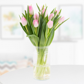 10 Pink Tulips
