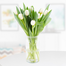 10 White Tulips