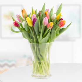 20 Multicolored Tulips