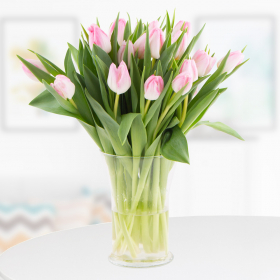 20 Pink Tulips