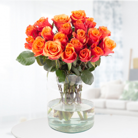 20 orange Rosen (40 cm)