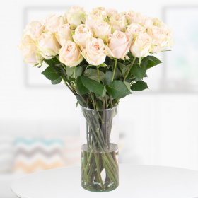 30 Premium roses Cream with XXL double flower (50cm)