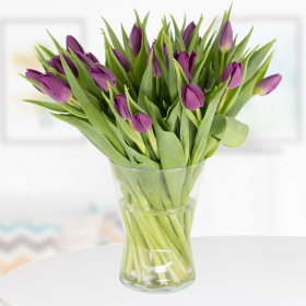 30 Purple Tulips