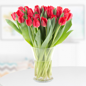 30 Rote Tulpen