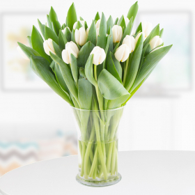 30 White Tulips