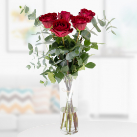 5 Red Premium Roses with Eucalyptus (50 cm)