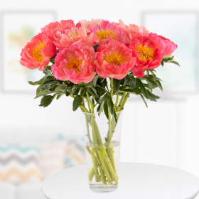 10 Peonies Coral Sunset
