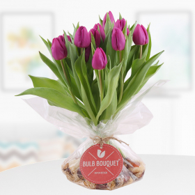 Bulb Bouquet Purple - Tulip Bouquet with Bulbs