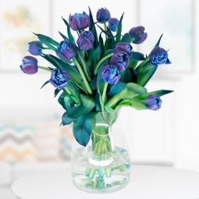 15 Filled Blue Tulips - Double Bubble Tulips