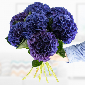 Blue hydrangea bouquet - 3, 5 or 7 stems 