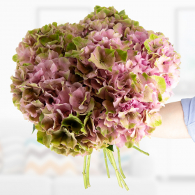 Hydrangea bouquet in pink-green - 3, 5 or 7 stems
