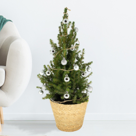 Christmas Tree Silver with 24 Baubles + Lighting | +/- 60 cm | ø 19 cm | Picea