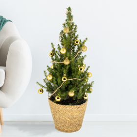 Christmas Tree Gold with 24 Baubles + Lighting | +/- 60 cm | ø 19 cm | Picea