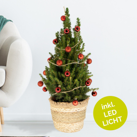 Christmas Tree Red with 24 Baubles + Lighting | +/- 60 cm | ø 19 cm | Picea