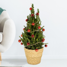 Christmas Tree Red with 24 Baubles + Lighting | +/- 60 cm | ø 19 cm | Picea