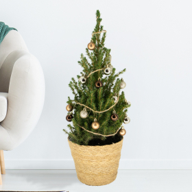 Christmas Tree Multicolored with 24 Baubles + Lighting | +/- 60 cm | ø 19 cm | Picea