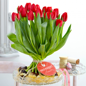 Bulb Bouquet Rot - Tulpenstrauß mit Zwiebeln
