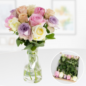 Fresh Letterbox 12 Roses Pastel Mix