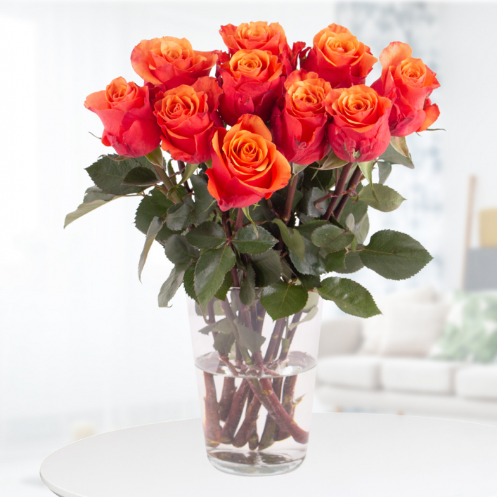 10 Orange Roses | A Rose Bouquet by Blumenshop.com