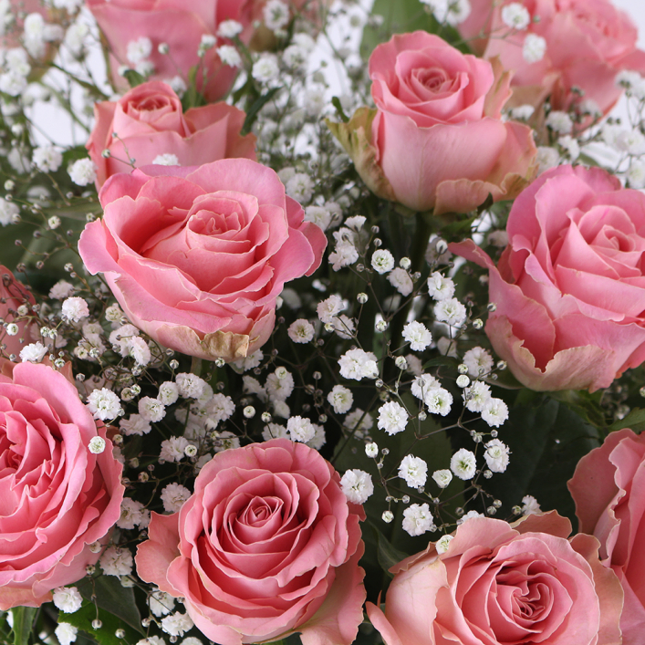 Light pink roses with baby's breath cheap