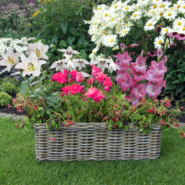 Balcony Flowers Set "Ready to Plant" Pink