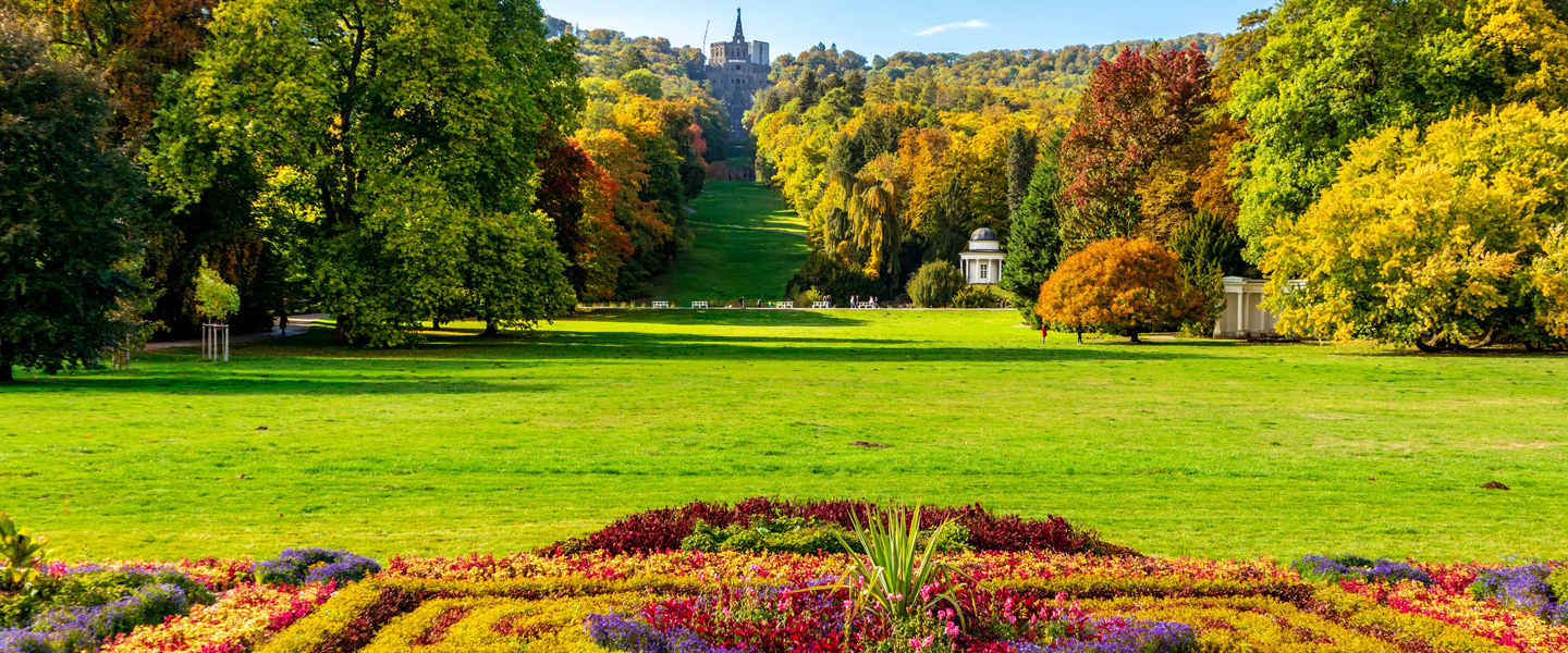 Flower delivery Kassel