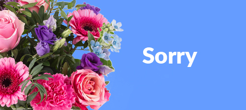 Say sorry with flowers