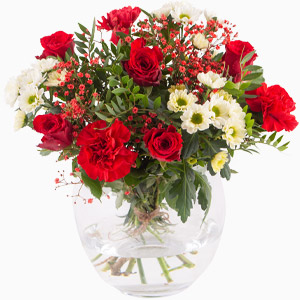 Christmas flowers in red and white