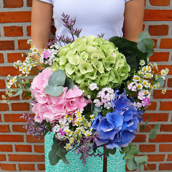 Buy hydrangeas online