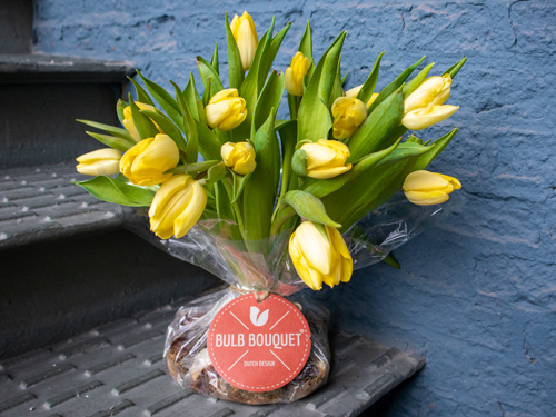 Buy a bouquet of tulips with bulbs