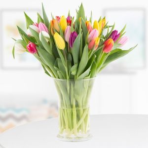 Order tulips online