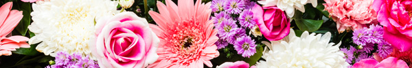 Send popular flowers and plants