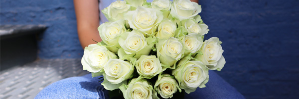 Send cheap flowers