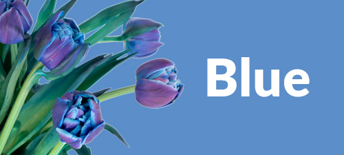 Blue flower bouquet