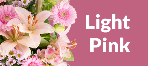 Light pink flower bouquet