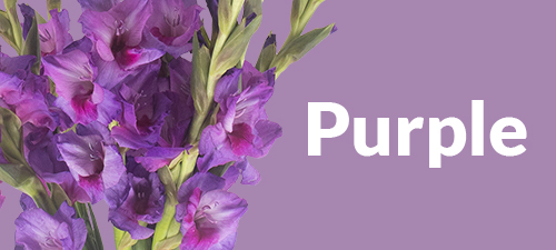 Purple flower bouquet
