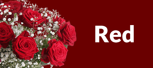 Red flower bouquet