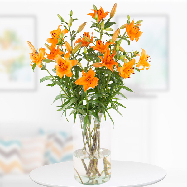 buy Flower Bouquet of Orange Lilies
