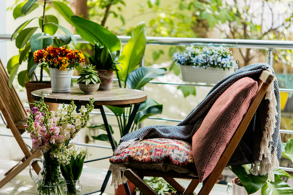 Plants for outside