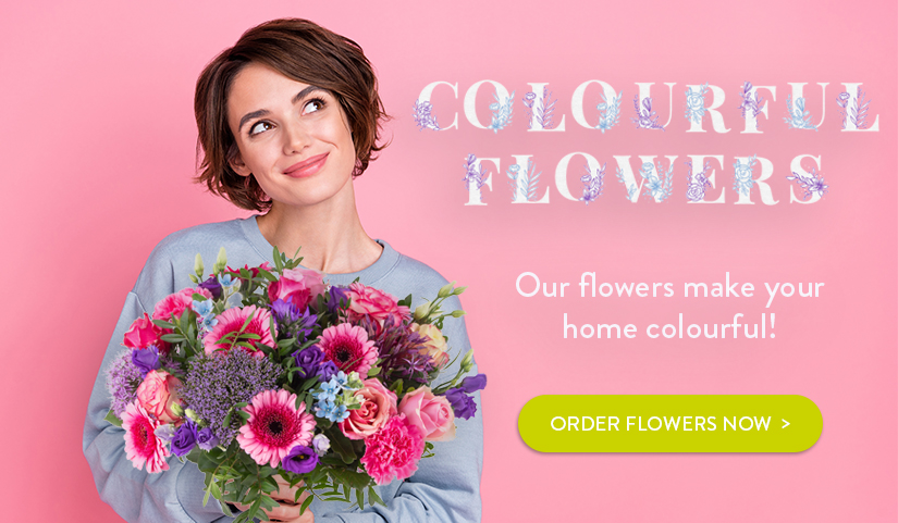 Order colorful flower bouquets