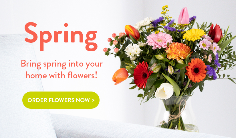Send spring flowers