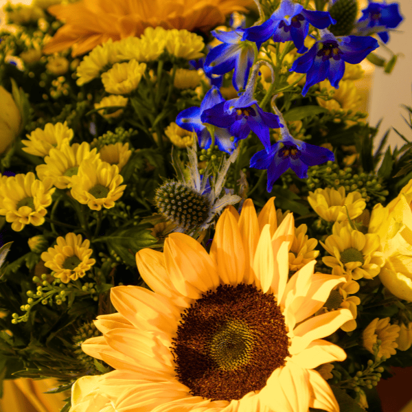 Buy summer flowers Buy summer flowers