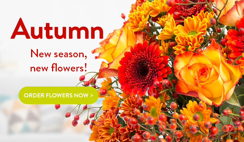 Send autumn bouquets