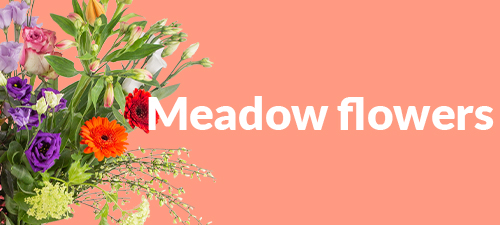 Order meadow flowers now online