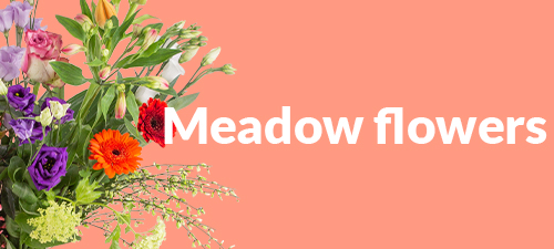 Order meadow flowers now online